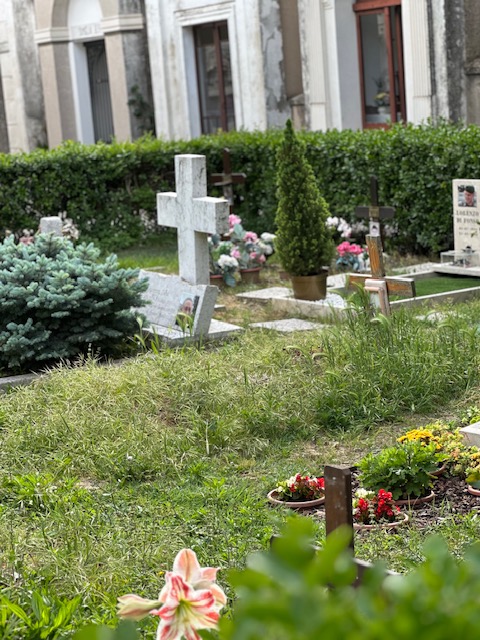 cimitero montelupone1