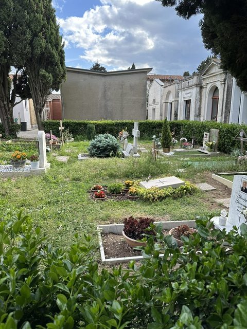 cimitero montelupone5