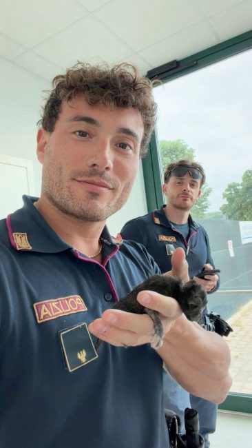 gatto polizia 3