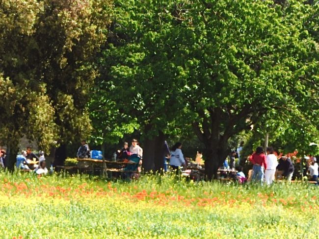 parco fluviale montecosaro primo maggio 2026 (8)