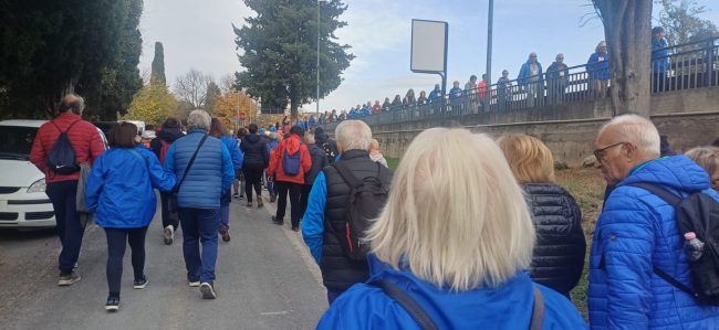 passeggiaido 4