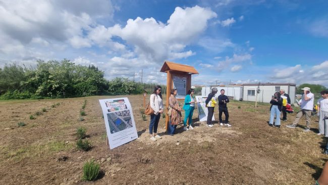 transizione ecologica marinetti civitanova premio (2)