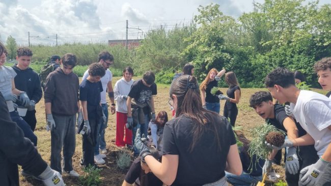 transizione ecologica marinetti civitanova premio (5)