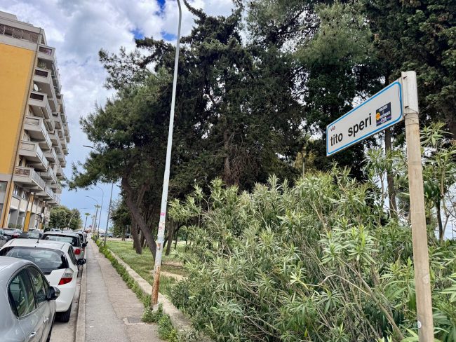via boeri varco civitanova (19)