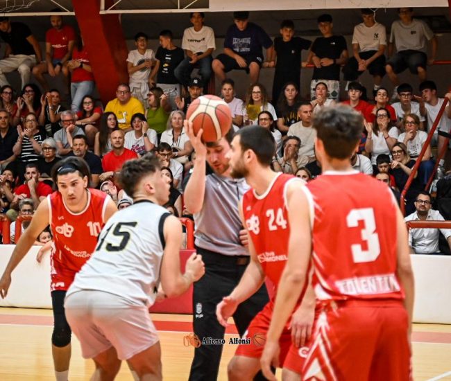 basket macerata tolentino