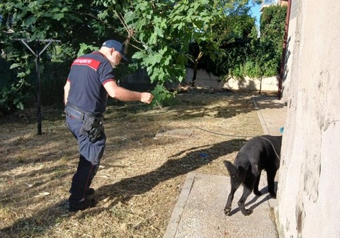 blitz antidroga corridonia 3