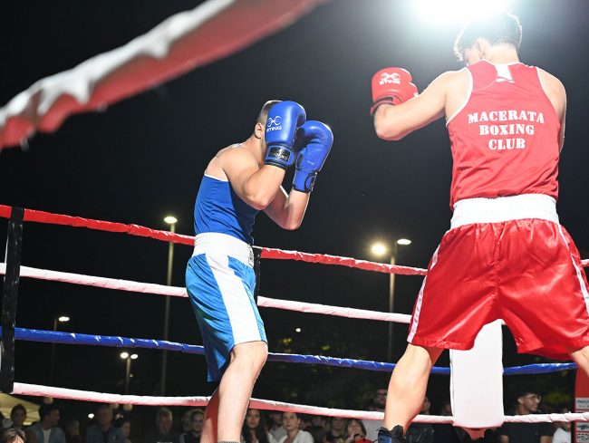 boxe the saturday5