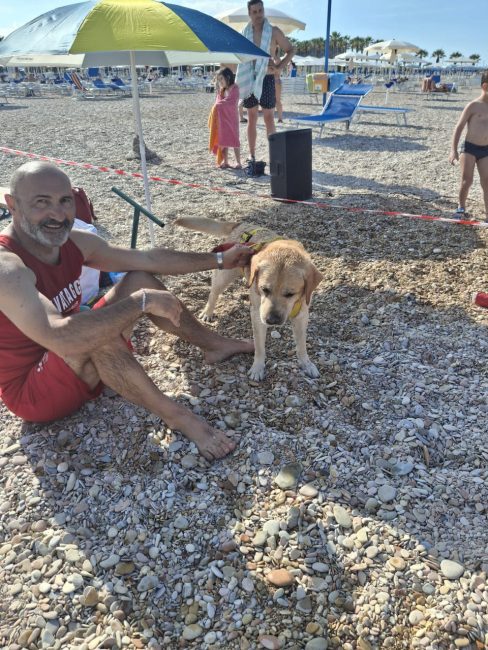 cani croce del sud civitanova (10)