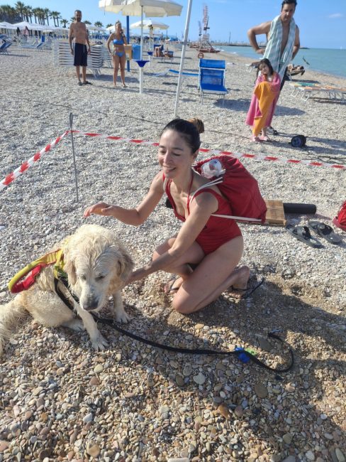 cani croce del sud civitanova (11)