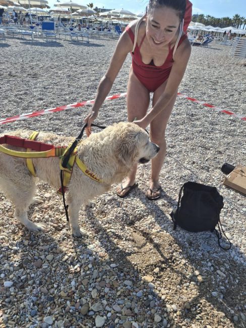 cani croce del sud civitanova (12)