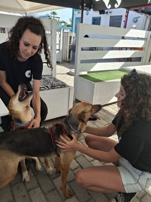 cani croce del sud civitanova (13)