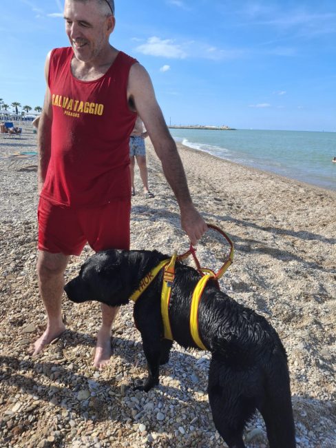 cani croce del sud civitanova (14)