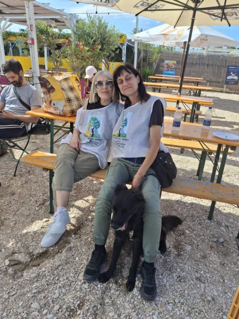 cani croce del sud civitanova (15)