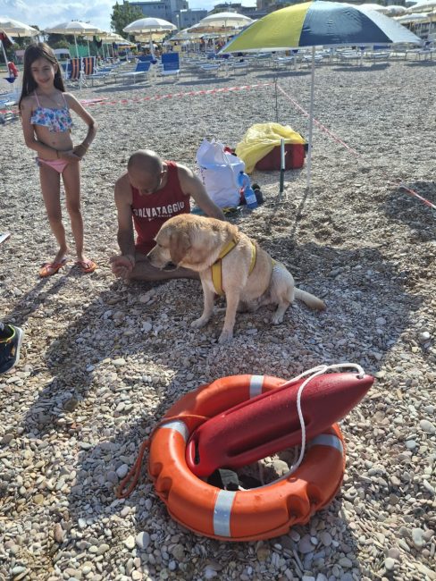 cani croce del sud civitanova (16)