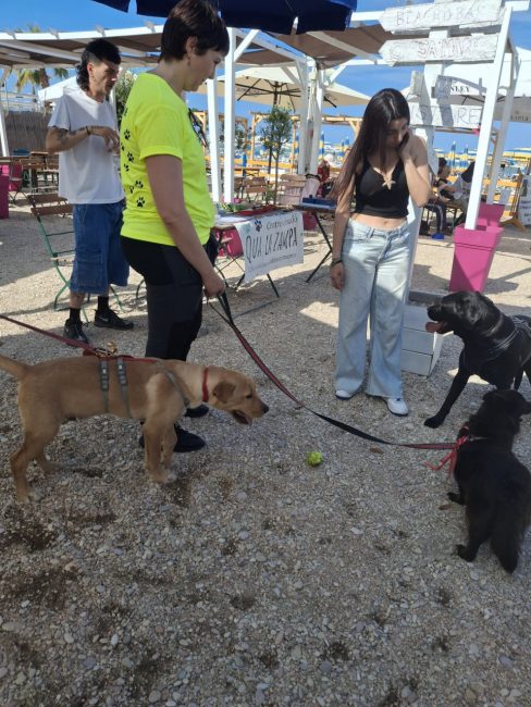 cani croce del sud civitanova (17)