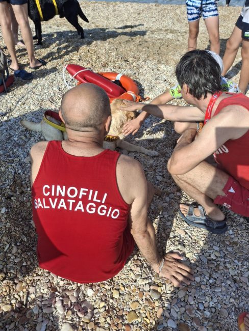 cani croce del sud civitanova (5)