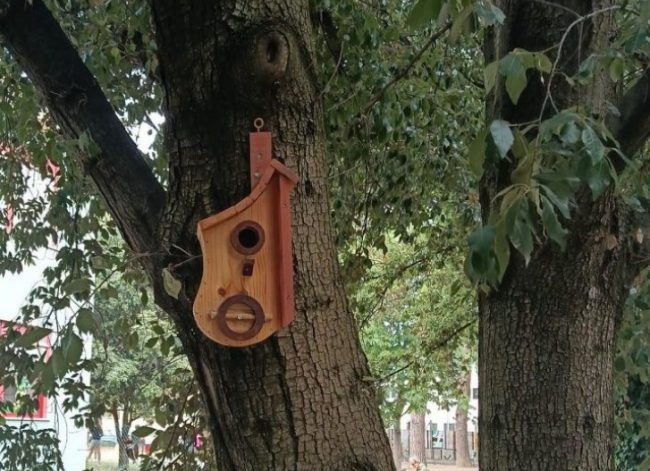 cassette uccelli