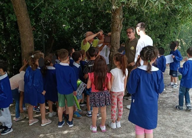 gabbie-per-uccelli-scuola-2