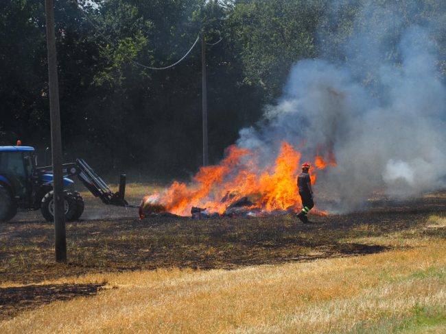 incendio campo (1)