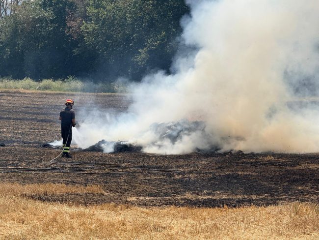 incendio campo (2)