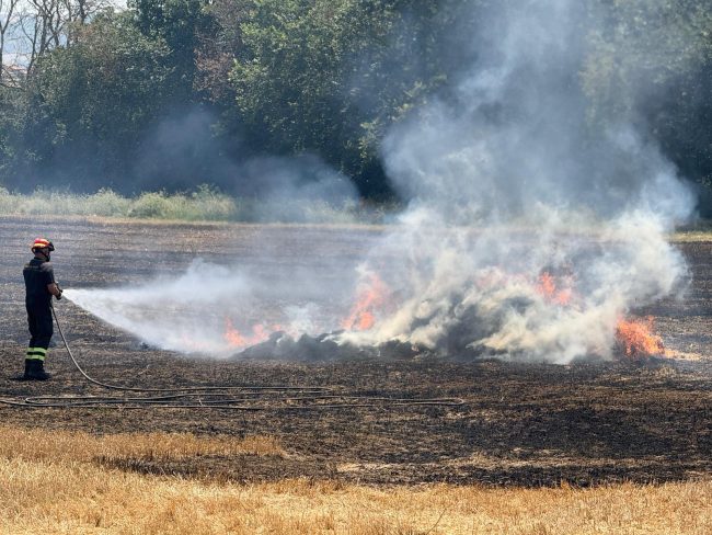incendio campo (3)