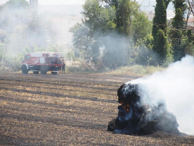 incendio campo (5)