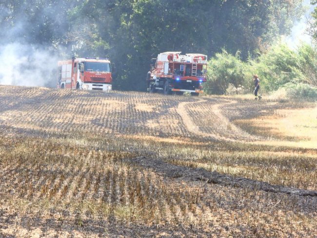 incendio campo (6)