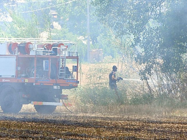 incendio campo (7)