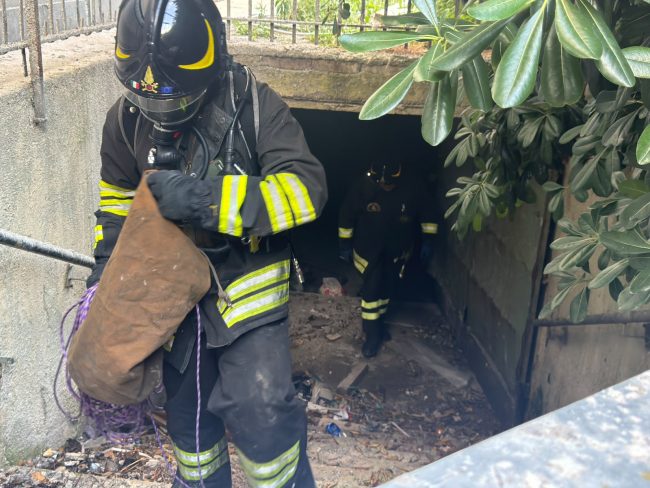 incendio green leaves carabinieri vigili del fuoco porto recanati (5)
