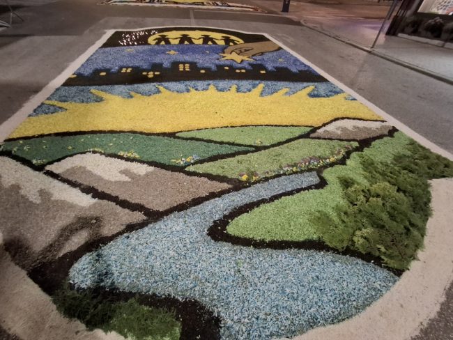 infiorata castelraimondo 2026 (21)