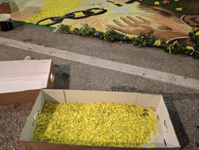 infiorata castelraimondo 2026 (8)
