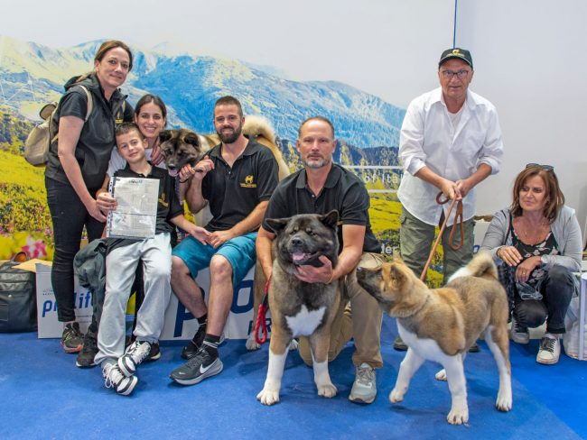 lozen akita americano campione mondo (3)