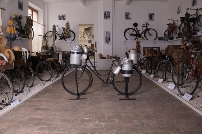 Ciclo Museo