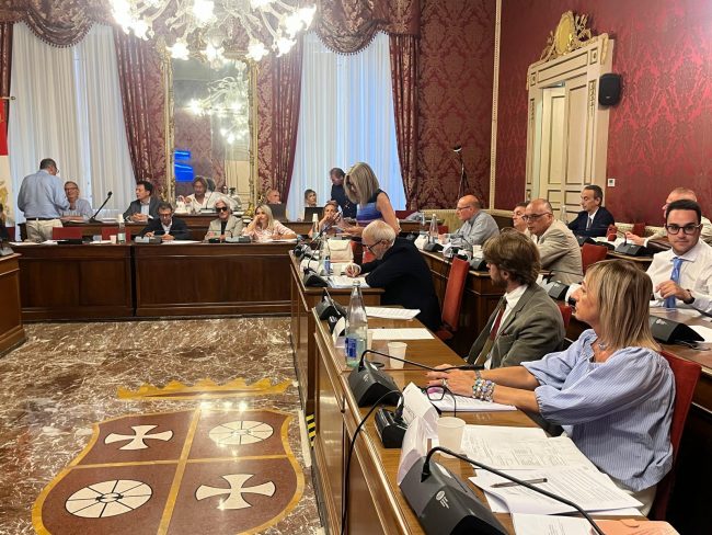 Consiglio comunale 31.07 (3)