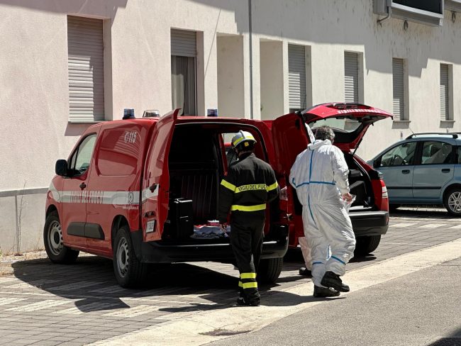 Incendio doloso Tolentino 4