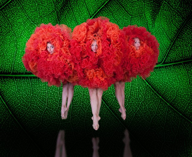 MOMIX_John Kane (1)