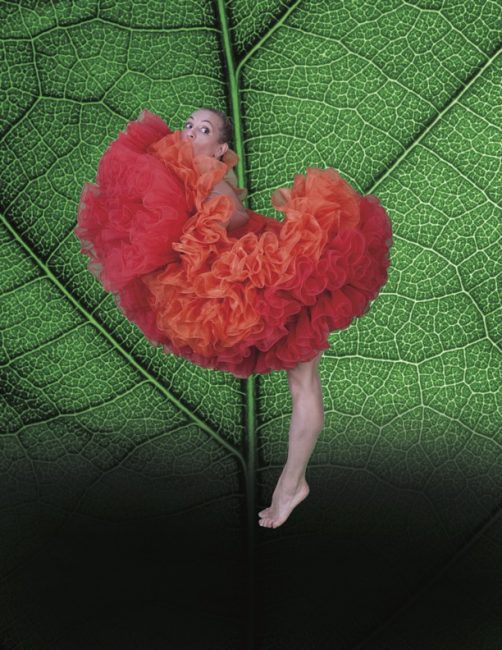 MOMIX_Marigolds_PhotoJohnKane (1)