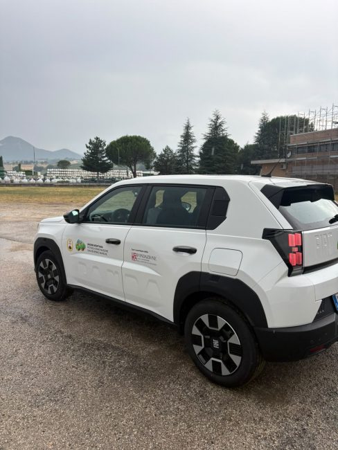 Panda2