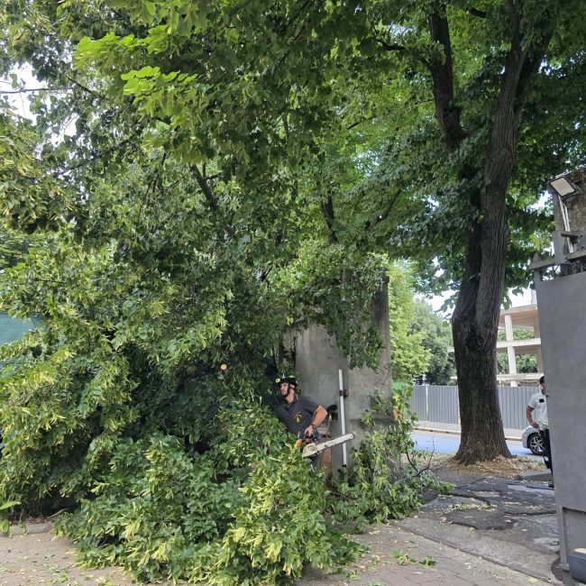 Vigili del fuoco terminal autobus 2