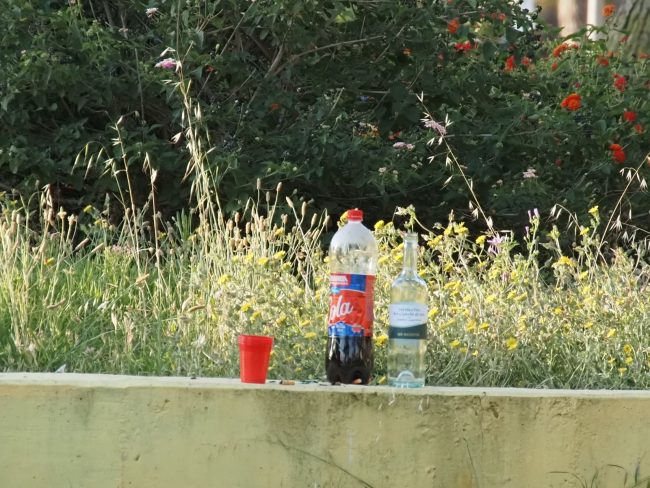 bottiglie abbandonata (6)