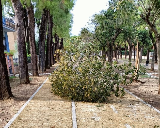 danni maltempo porto potenza 2