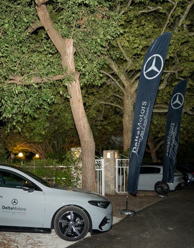 delta motors 8