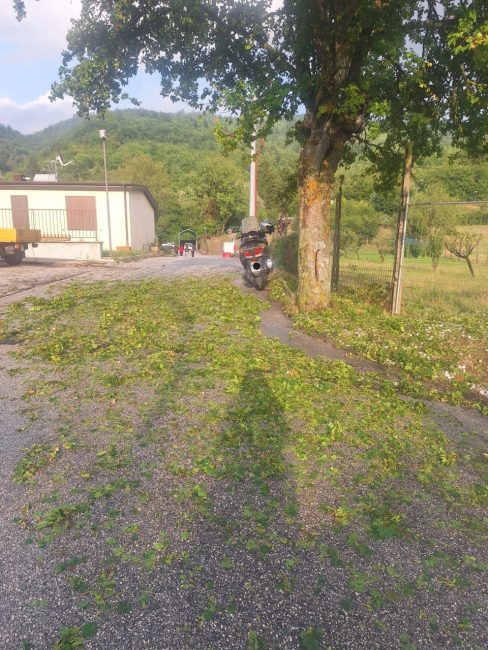 grandine pieve torina 6