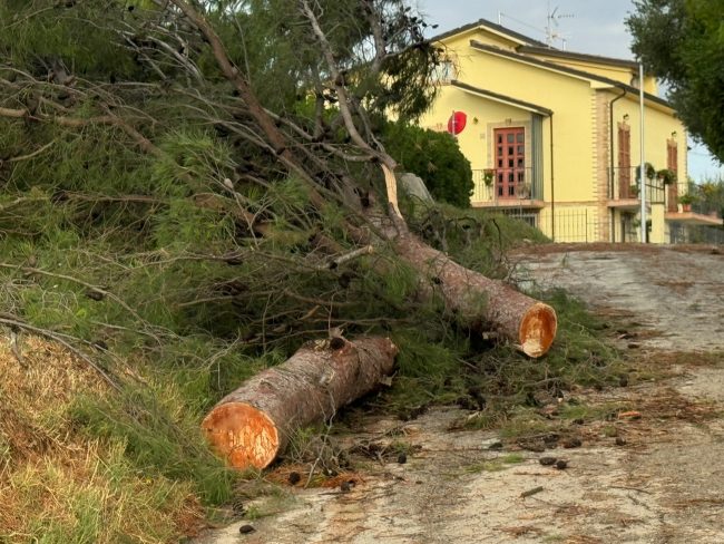 maltempo civitanova luglio 2026 (2)