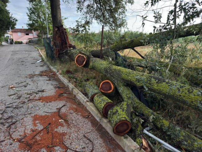 maltempo civitanova luglio 2026 (30)