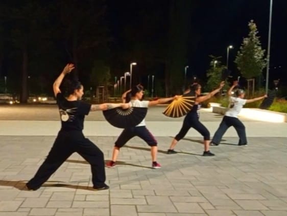 wuxing macerata (7)