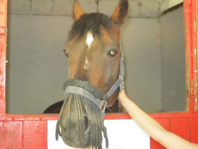 Varenne