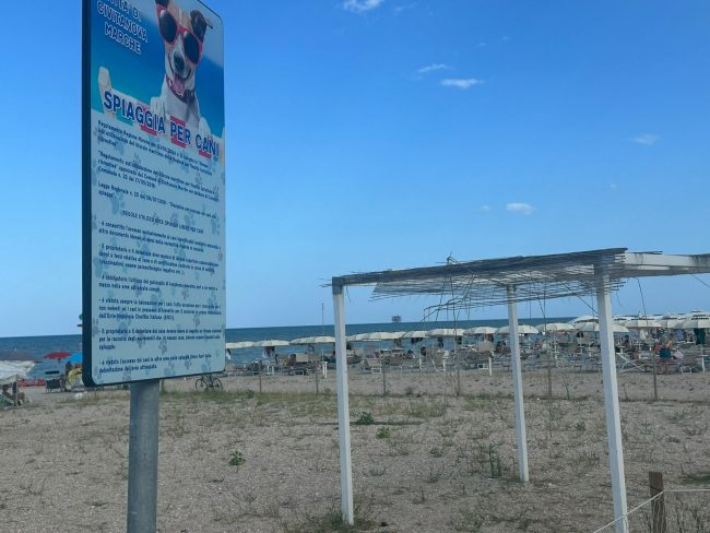 area cani (1)