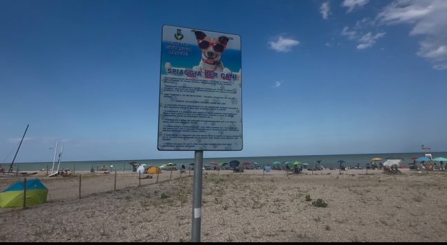 area cani (5)