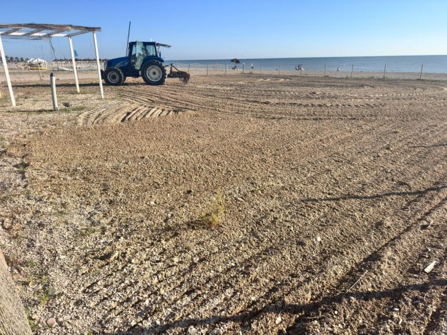area cani lungomare sud civitanova (1)
